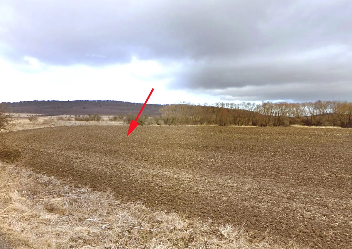 Fotka 2 z 3